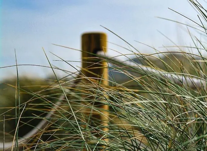 Szálloda Miel Cala Millor