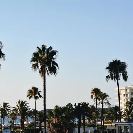 Miel Cala Millor (Mallorca)