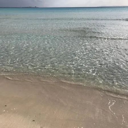 Miel Ξενοδοχείο Cala Millor (Mallorca)